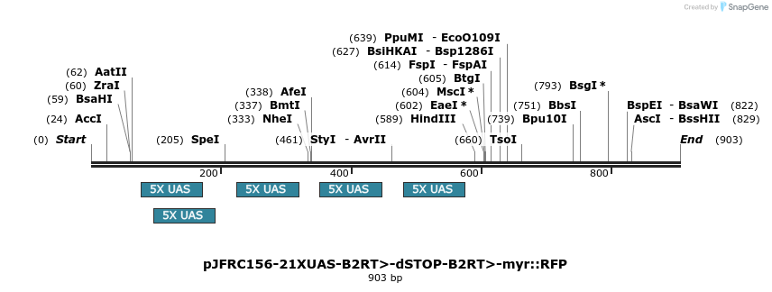 38107_map