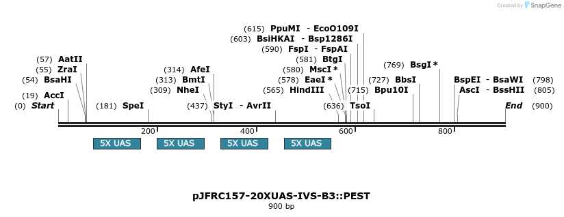 38108_map