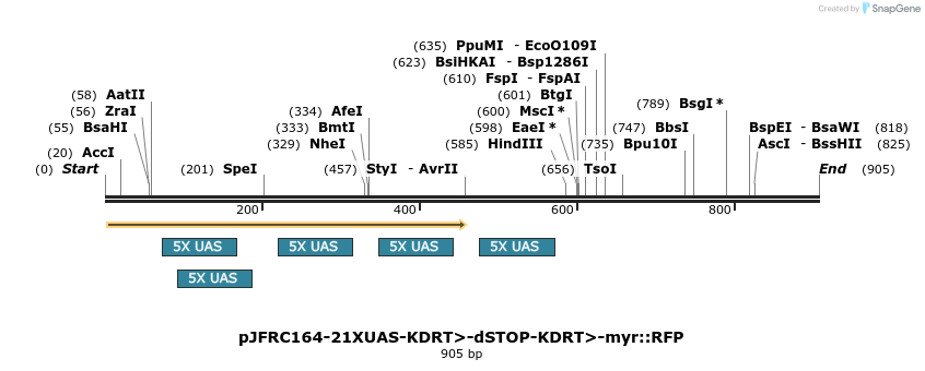 38111_map