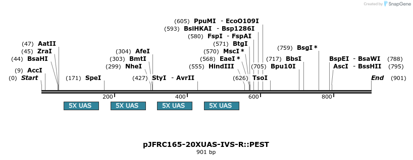 38112_map