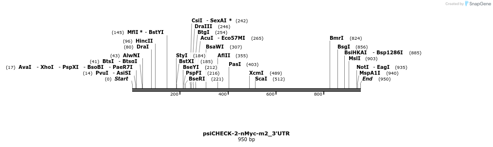 38120_map