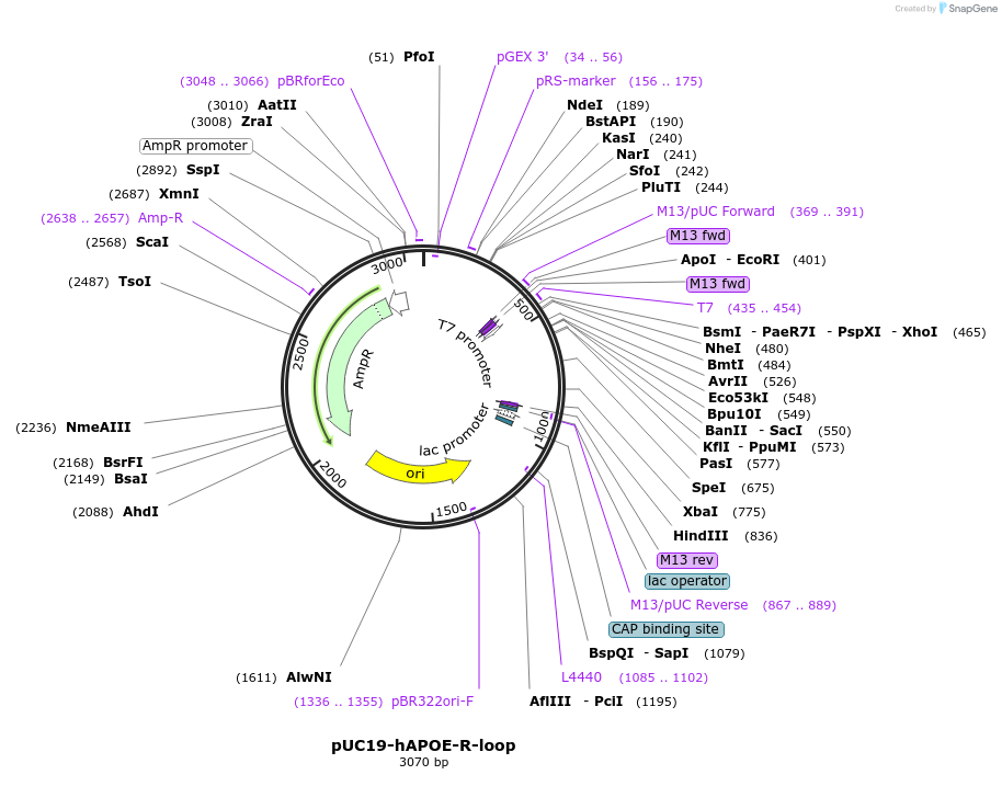 381203_map