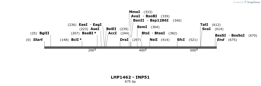 38122_map