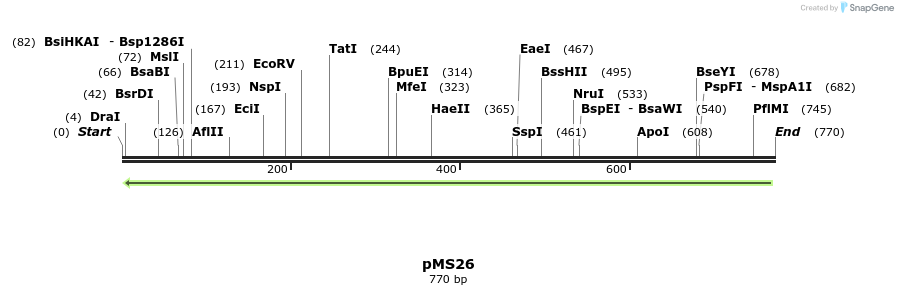 38123_map