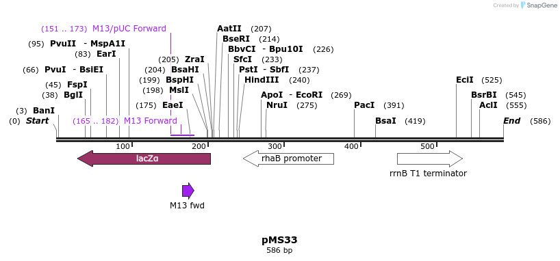 38124_map