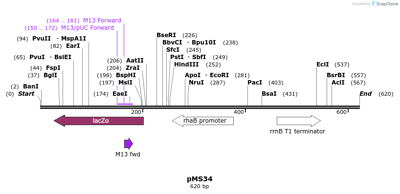 38125_map