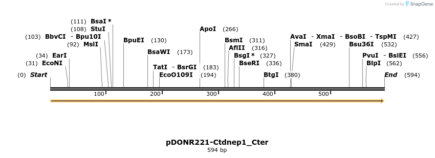 381256_map