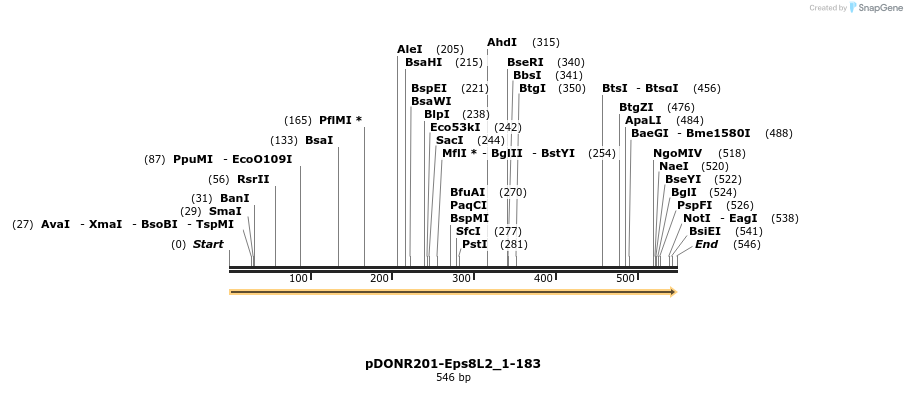 381257_map