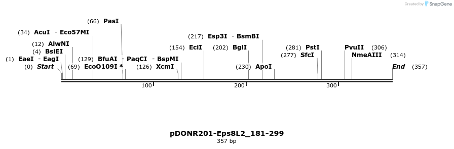 381258_map