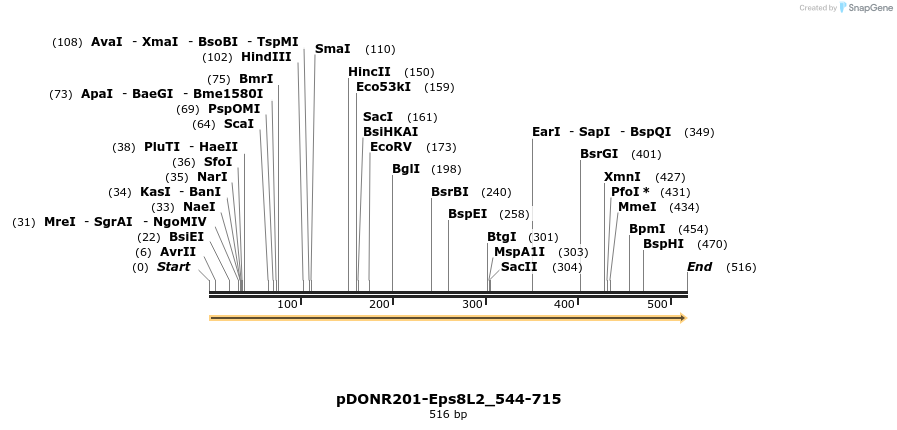 381262_map