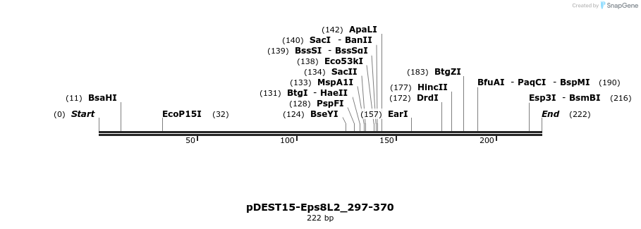 381266_map