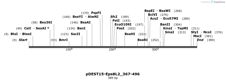 381267_map