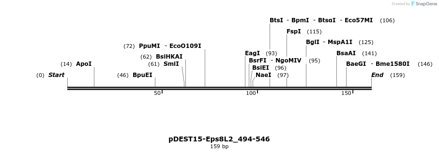 381268_map