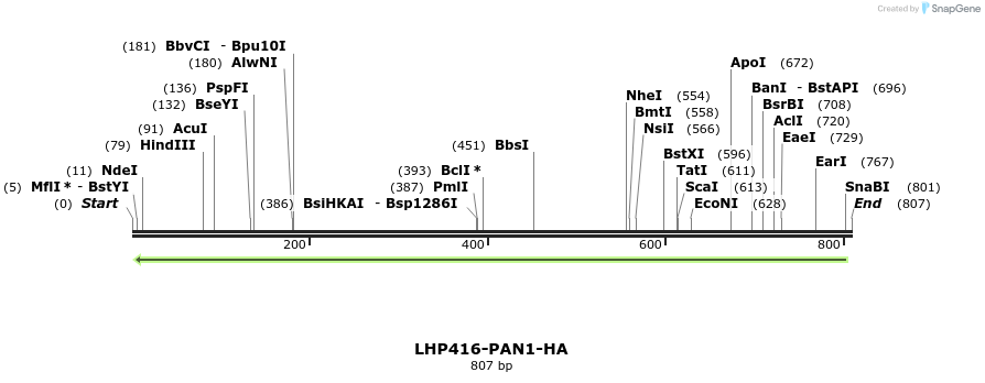 38131_map