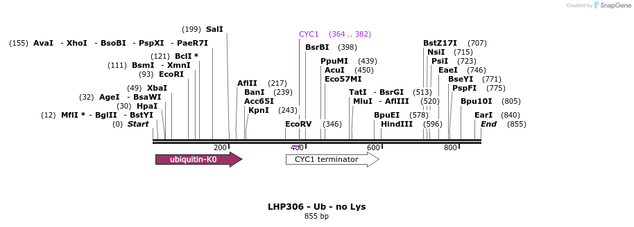 38132_map