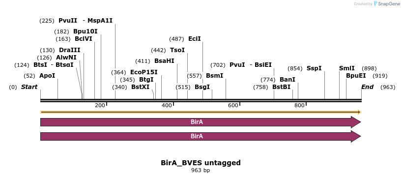 381346_map