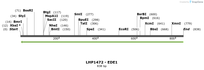 38135_map