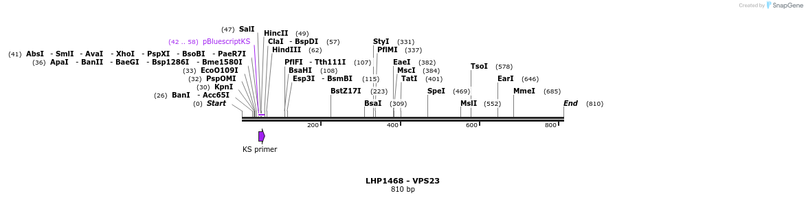 38140_map