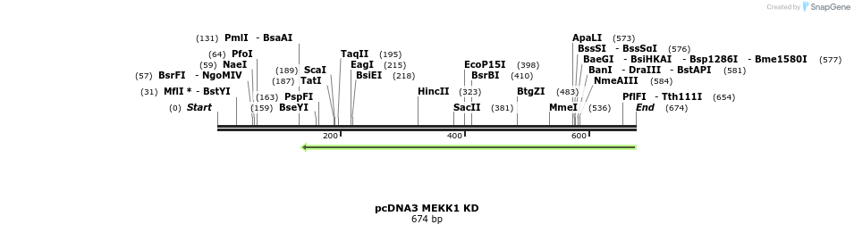 38144_map