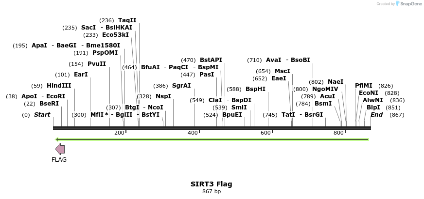 38153_map