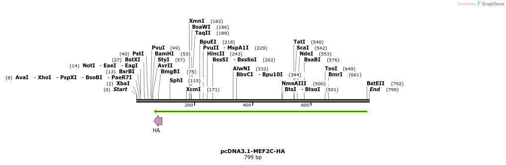 38160_map