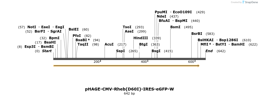 38169_map