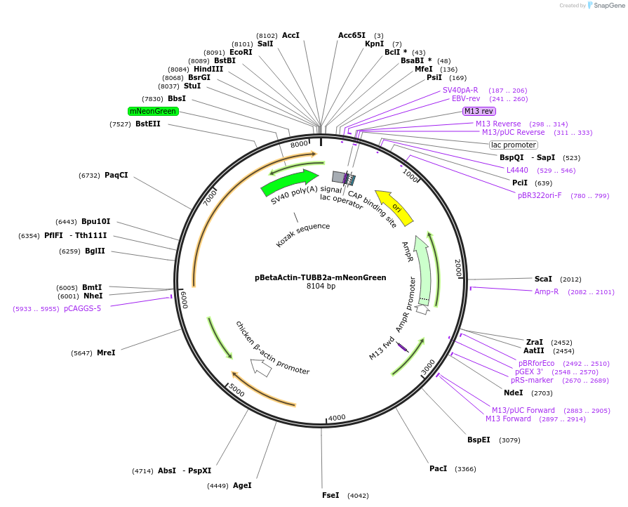 381697_map