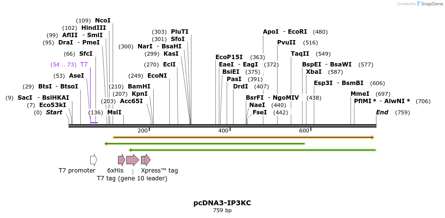 38172_map