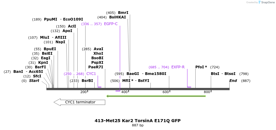 38181_map
