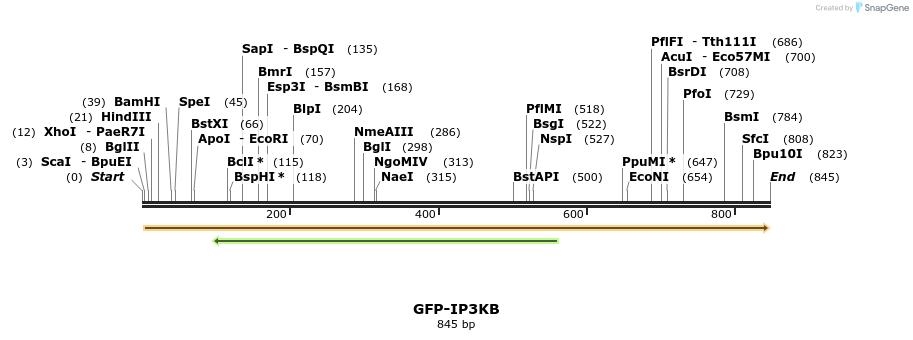 38186_map