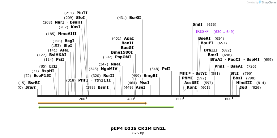 38189_map
