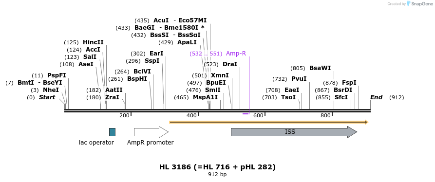 38196_map