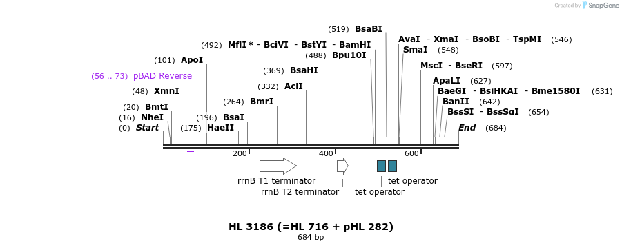 38197_map