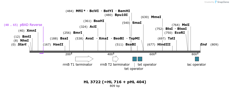 38201_map