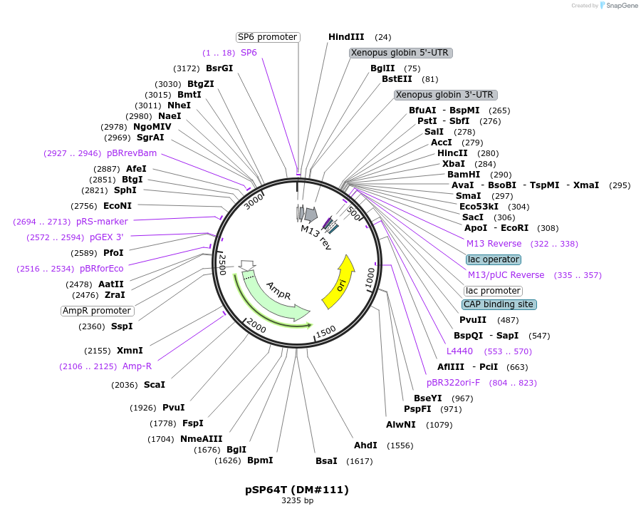 382029_map