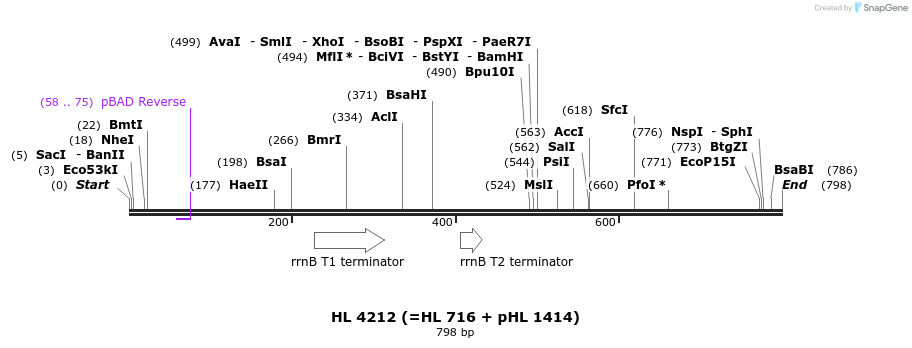 38203_map