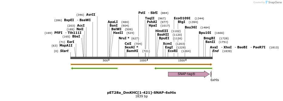 382074_map