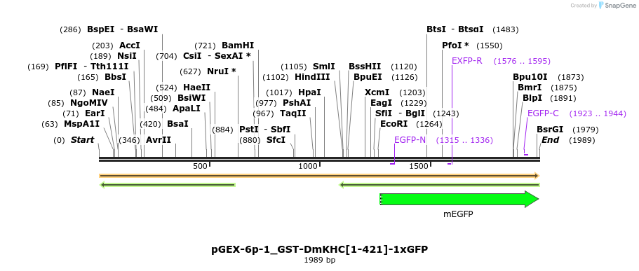 382076_map