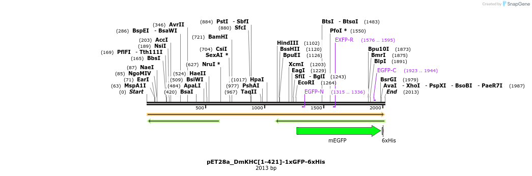382077_map