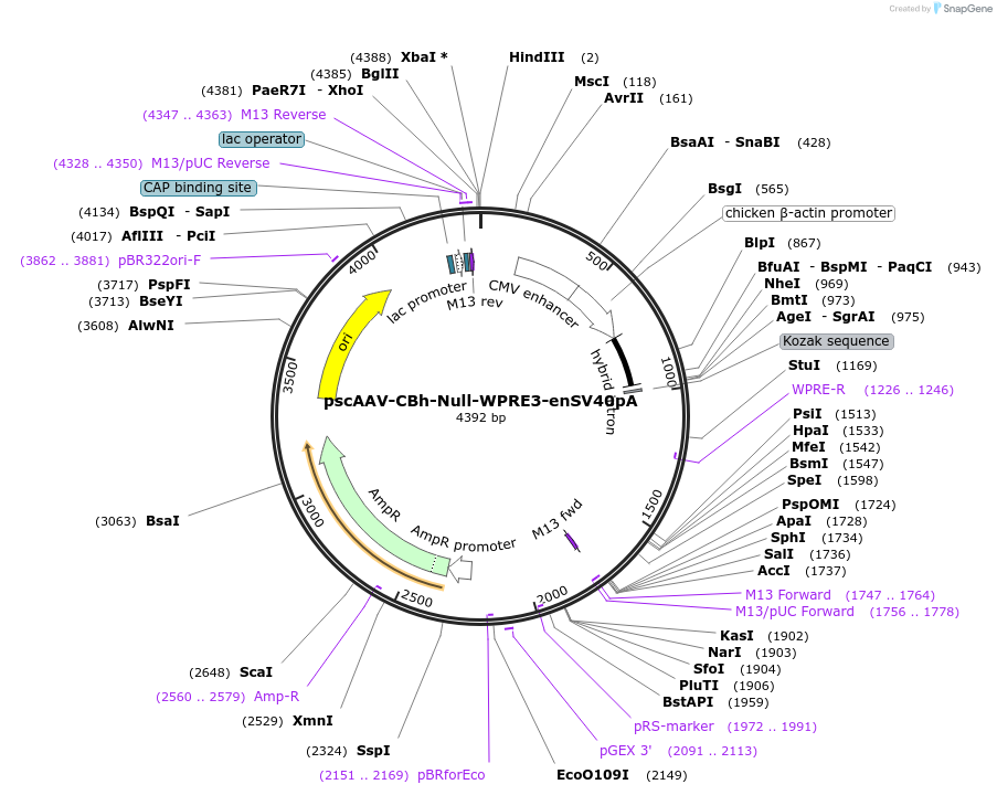 382096_map