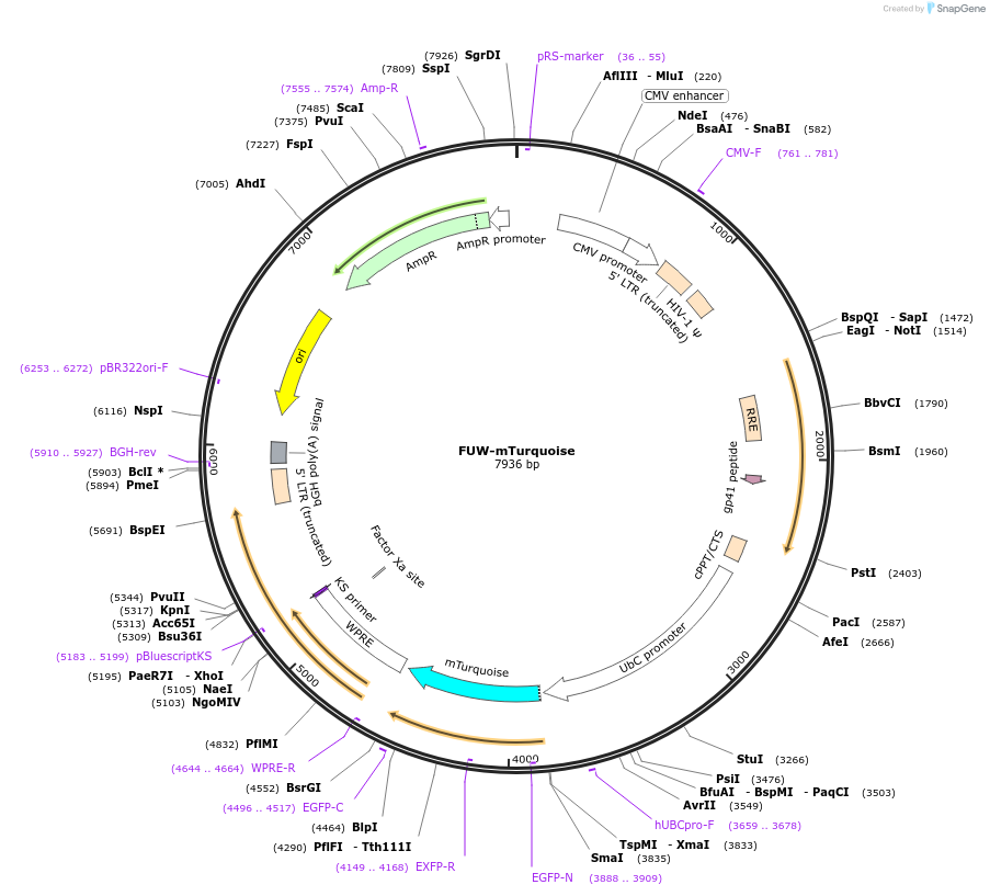 382201_map