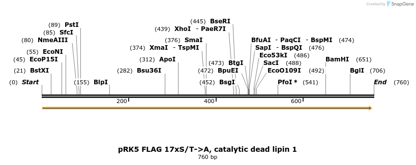 38221_map