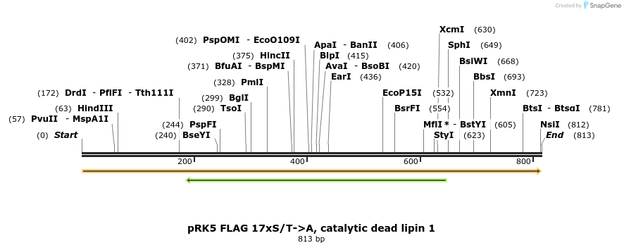 38222_map