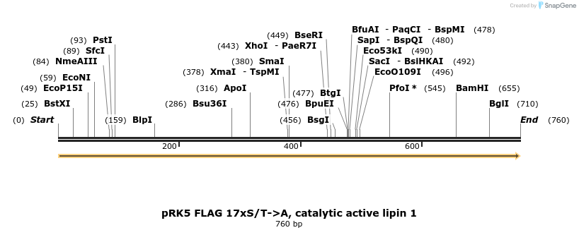 38227_map