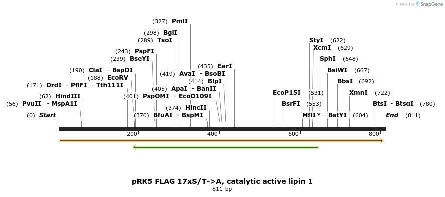 38228_map