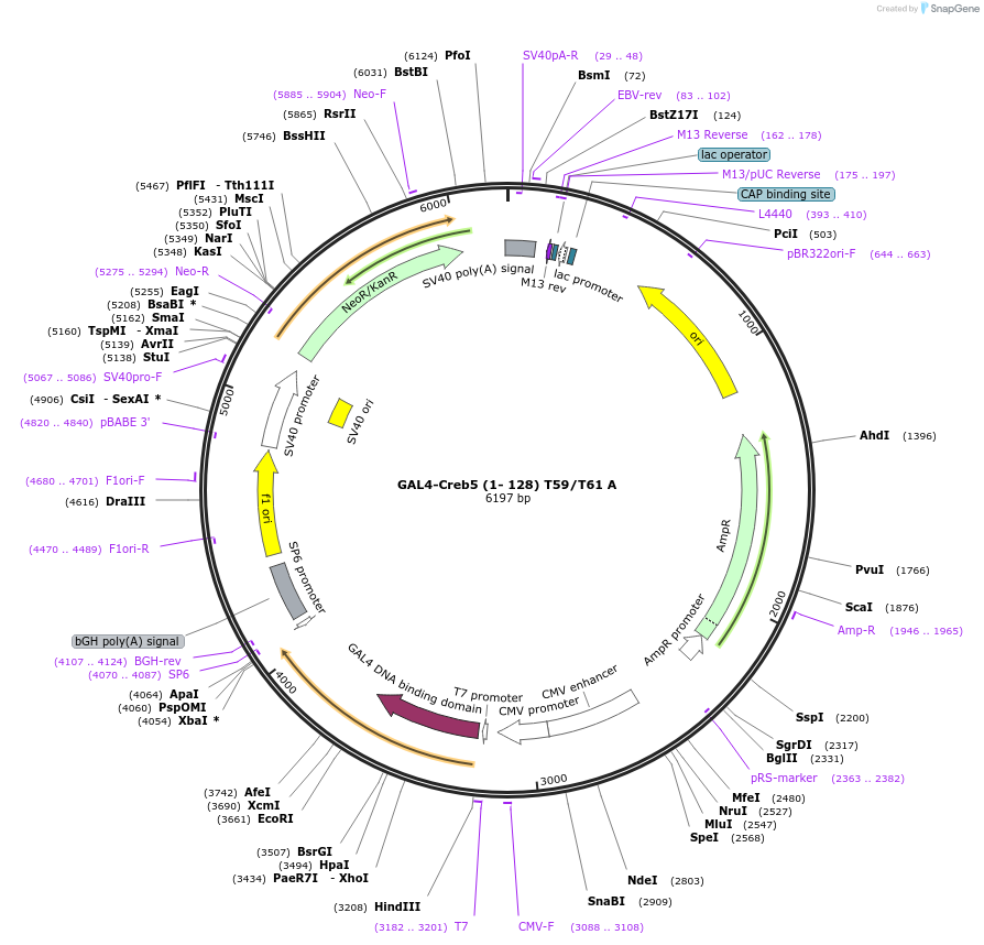 382311_map