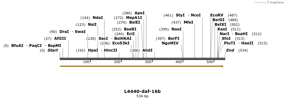 38237_map