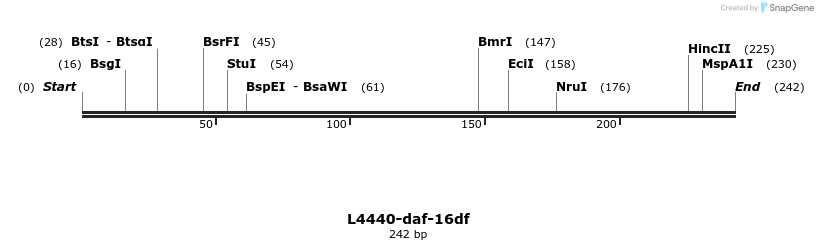 38238_map