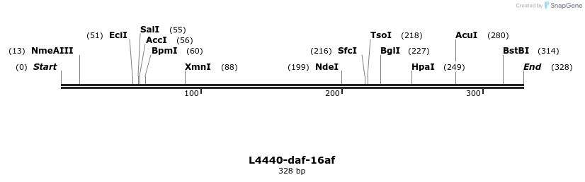 38239_map