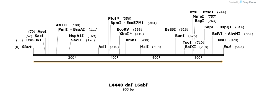 38240_map